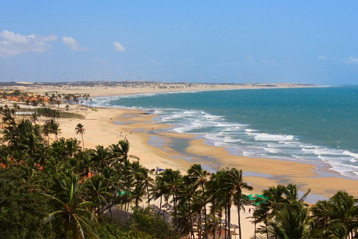 Acorde com o som do mar.